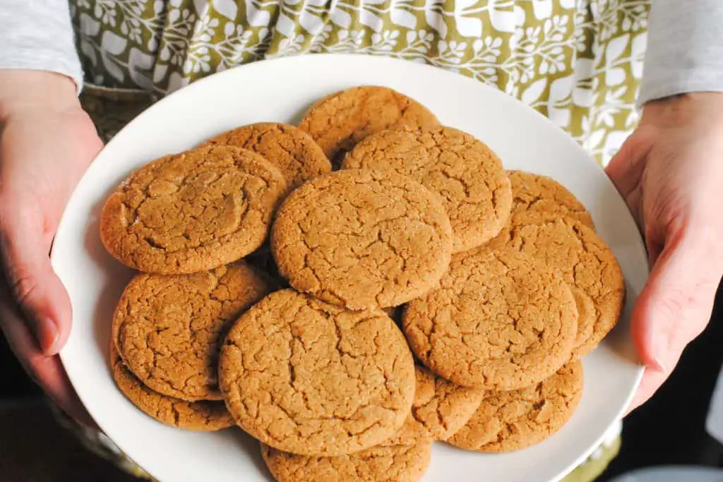 hands holding a plate of ginger cookies