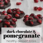 dark chocolate and pomegranate dessert