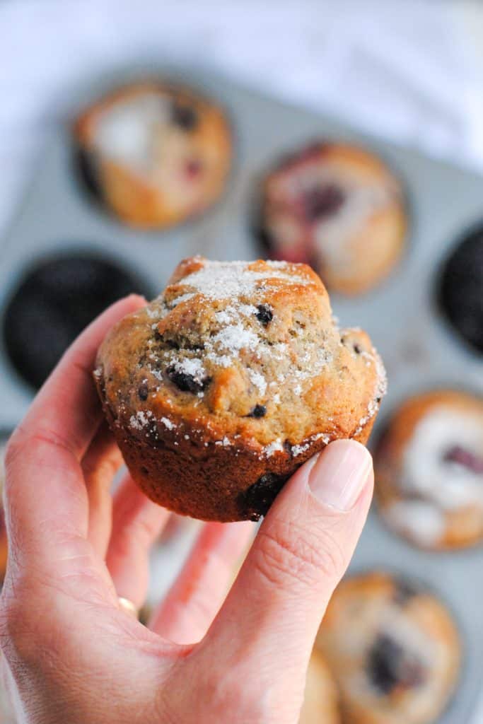 hand holding mixed berry muffin with muffin tin in background