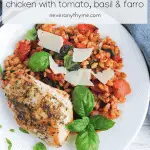 Plate of cooked chicken and farro with tomatoes garnished with fresh basil and shaved parmesan cheese