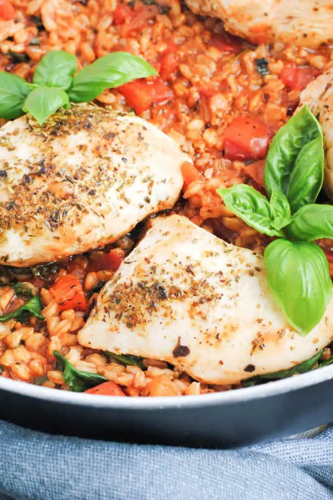 skillet with cooked farro, tomatoes, chicken and basil