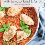 skillet with cooked farro, tomatoes, chicken and basil